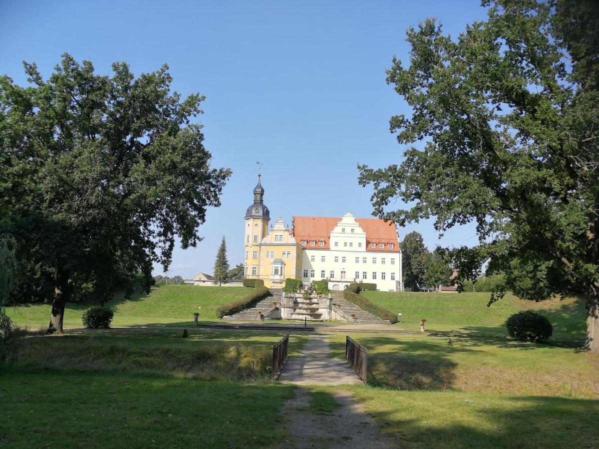 Pension Schlossblick Thallwitz Exteriör bild